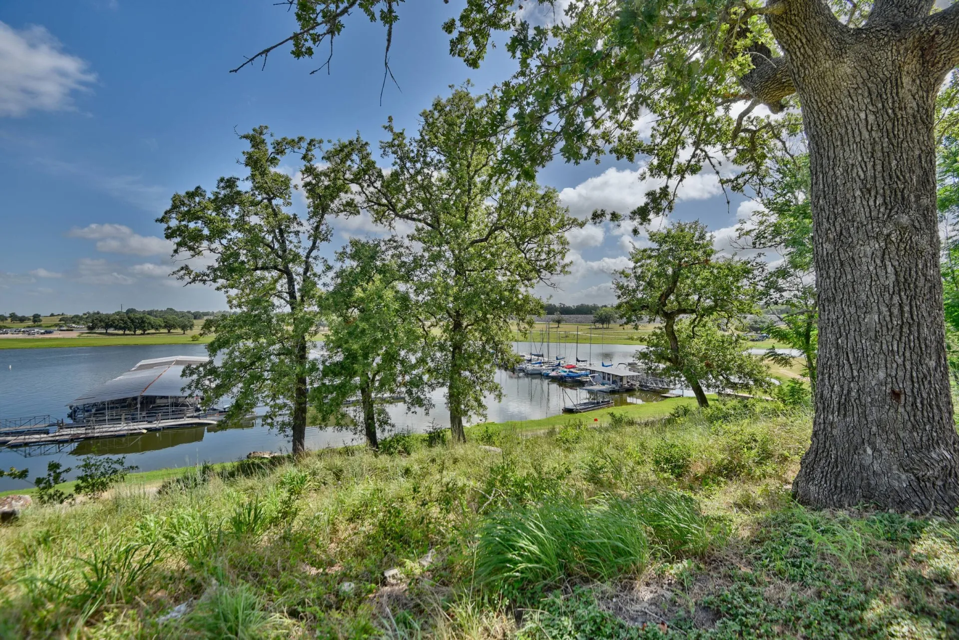 Wildflower Season Is Here — And the Lake Has Never Looked Better
